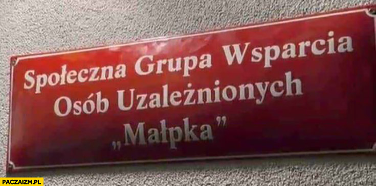 Społeczna grupa wsparcia osób uzależnionych małpka