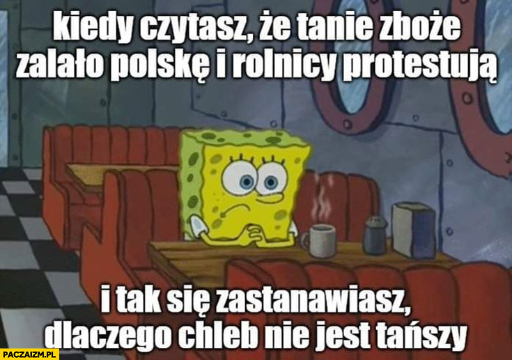 Spongebob kiedy czytasz, że tanie zboże zalało Polskę i rolnicy protestują i zastanawiasz się czemu chleb nie jest tańszy
