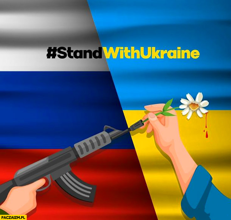 Stand with Ukraine solidarni z Ukrainą karabin kwiatek