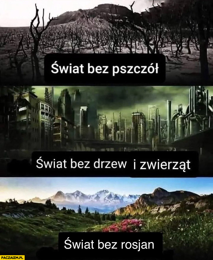 Świat bez pszczół, świat bez drzew i zwierząt, świat bez rosjan piękny