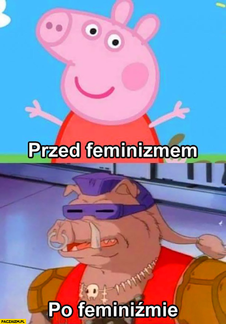 Świnka Pepa przed feminizmem, po feminizmie