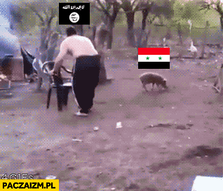 Sytuacja w Syrii wyjaśniona animacja grill dzik ISIS USA Rosja