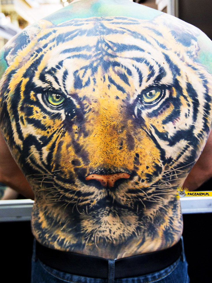 Tatuaż tygrysa plecy
