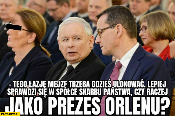 Tego łajzę Mejzę trzeba gdzieś ulokować, lepiej sprawdzi się w spółce skarbu państwa czy jako prezes Orlenu Kaczyński Morawiecki