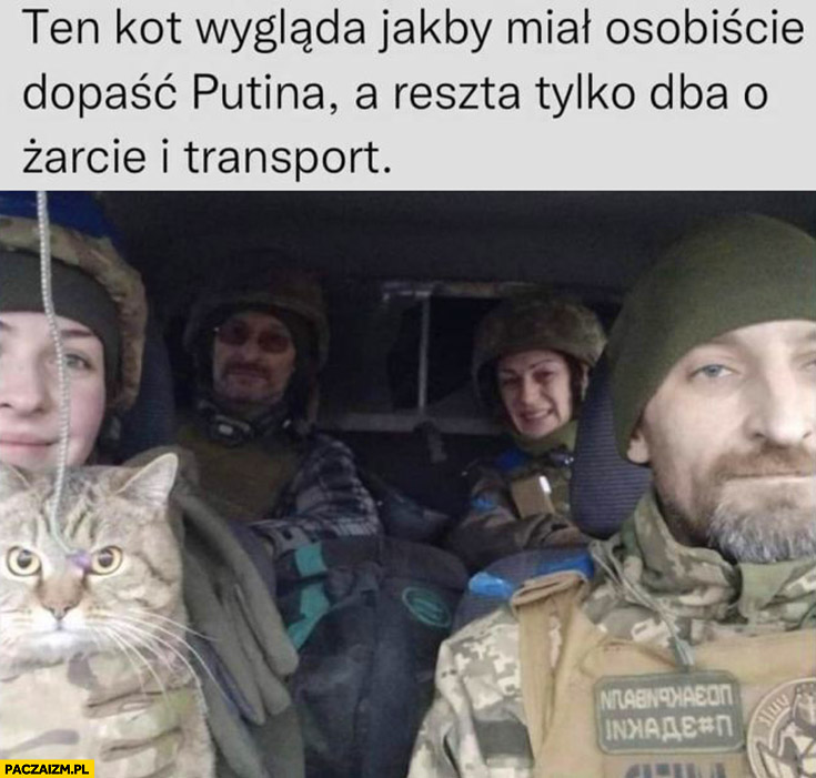 Ten kot wygląda jakby miał osobiście dopaść Putina a reszta tylko dba o życie i transport Ukraina żołnierze