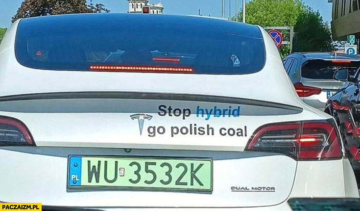 Tesla naklejka stop hybrid go Polish coal polski węgiel