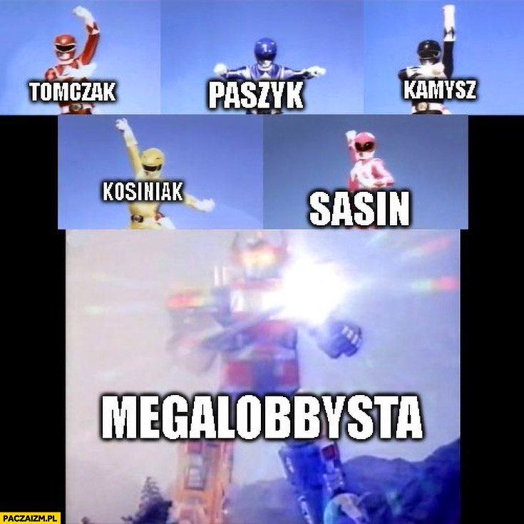 Tomczak Paszyk Kamysz Kosiniak Sasin powstaje megalobbysta power rangers