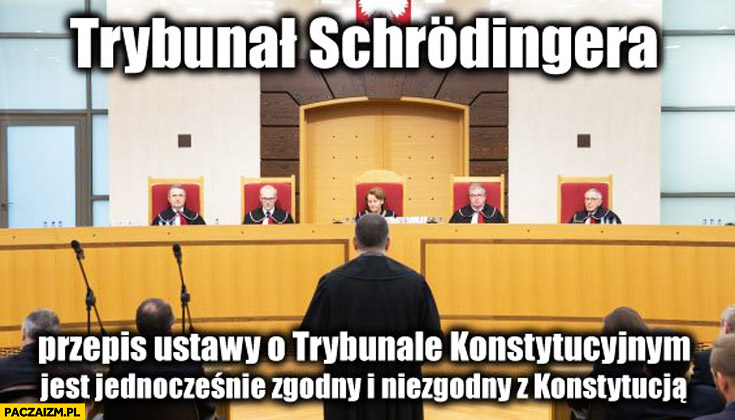 Trybunał Schrodingera: przepis ustawy o trybunale konstytucyjnym jest jednocześnie zgodny i niezgodny z konstytucją