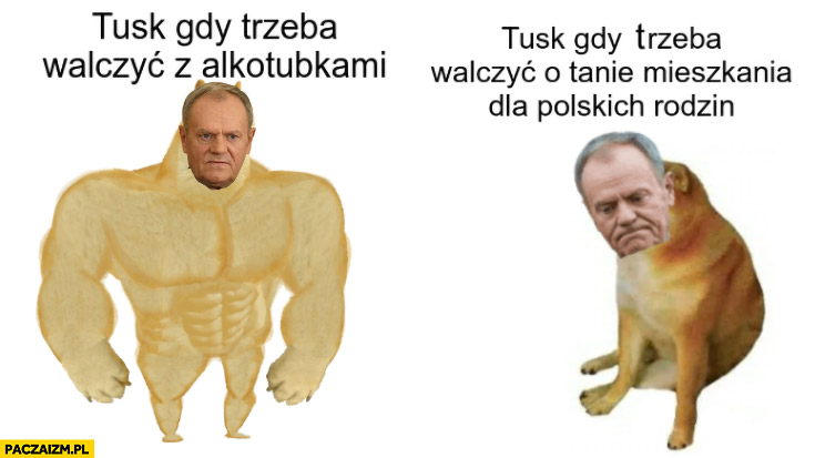 Tusk gdy trzeba walczyć z alkotubkami vs gdy trzeba walczyć o tanie mieszkania dla polskich rodzin pies pieseł doge cheems