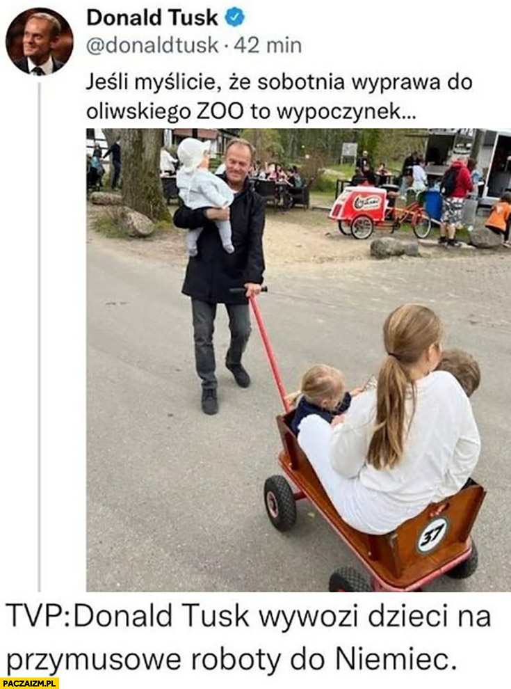 Tusk z dziećmi w zoo TVP Tusk wywozi dzieci na przymusowe roboty do Niemiec