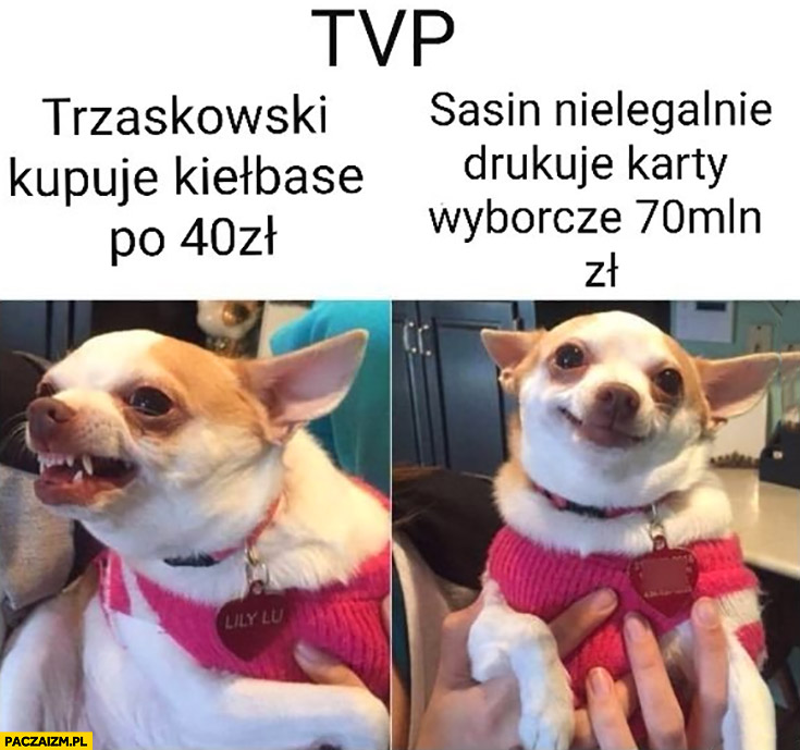 TVP kiedy Trzaskowski kupuje kiełbasę po 40zl vs kiedy Sasin nielegalnie drukuje karty wyborcze za 70 milionów pies piesek