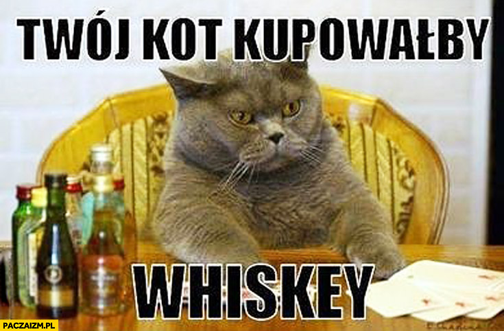 Twój kot kupowałby whiskey