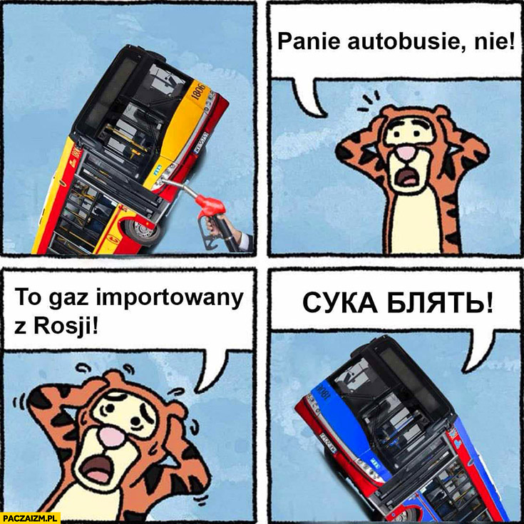 Tygrysek panie autobusie nie to gaz importowany z rosji