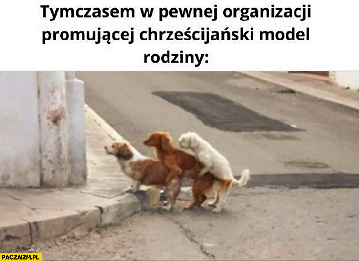 Tymczasem w pewnej organizacji promującej chrześcijański model rodziny ordo iuris psy na sobie