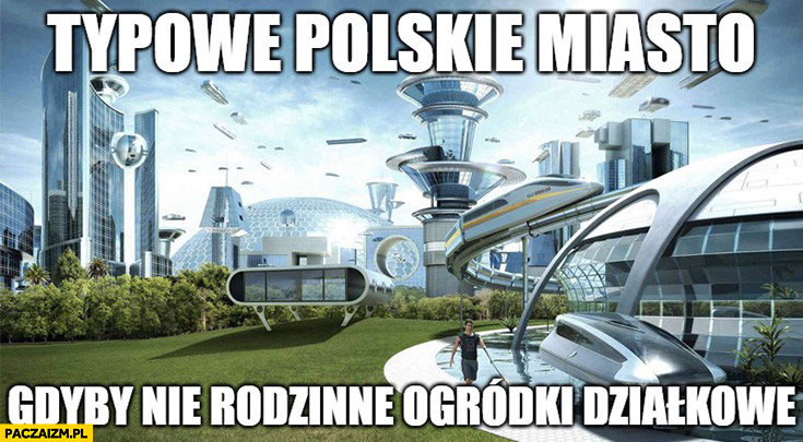 Typowe polskie miasto gdyby nie rodzinne ogródki działkowe ROD