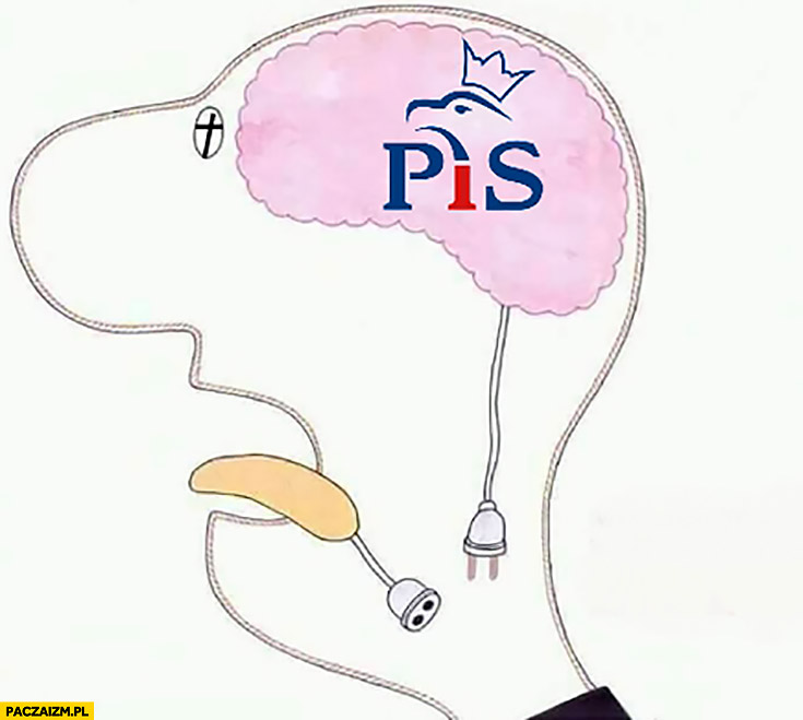 Typowy wyborca PiS język rozłączony z mózgiem nie połączony
