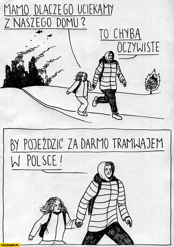 Uchodźcy imigranci z Ukrainy mamo dlaczego uciekamy z naszego domu to chyba oczywiste by pojeździć za darmo tramwajem w Polsce