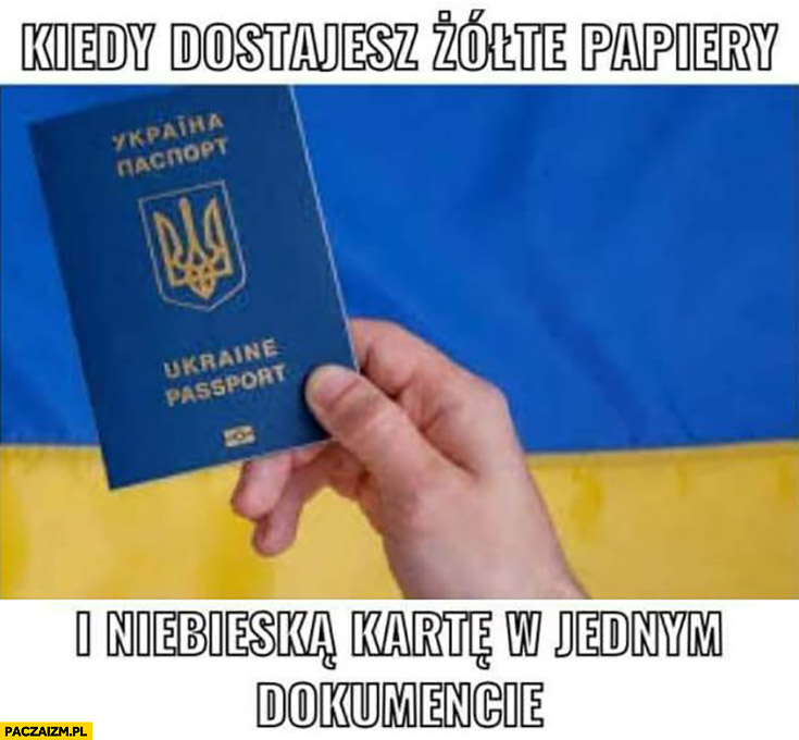 Ukraina paszport kiedy dostajesz żółte papiery i niebieska kartę w jednym dokumencie