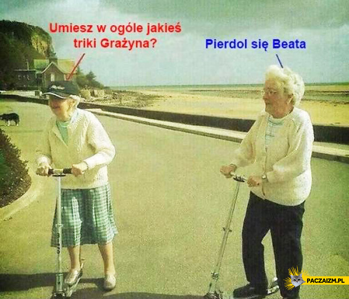 Typowa Gra yna Memy Paczaizm pl Memy Polityczne mieszne Obrazki 