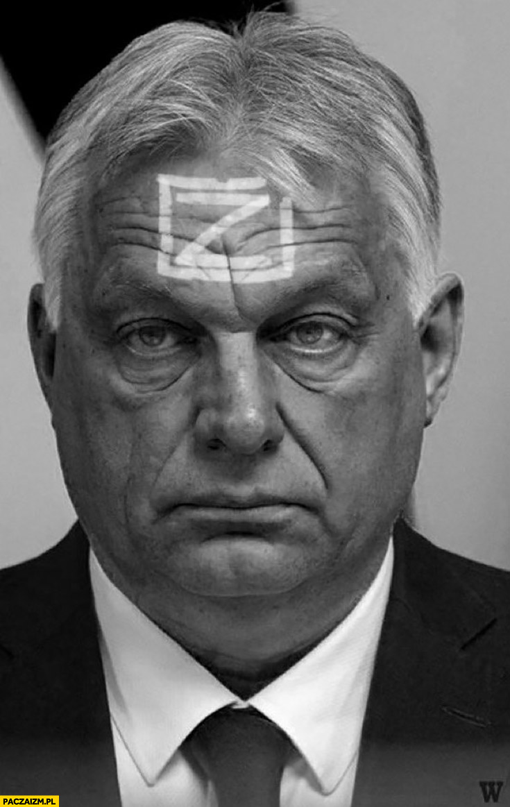 Viktor Orban z na czole Rosja inwazja Węgry popierają