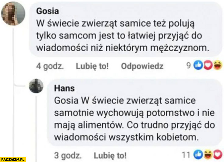 W świecie zwierząt samice samotnie wychowują potomstwo i nie maja alimentów co trudno przyjąć do wiadomosci wszystkim kobietom komentarz na facebooku