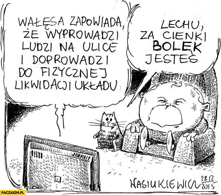 Wałęsa zapowiada, że wyprowadzi ludzi na ulice i doprowadzi do likwidacji układu Lechu za cienki Bolek jesteś kot Kaczyńskiego