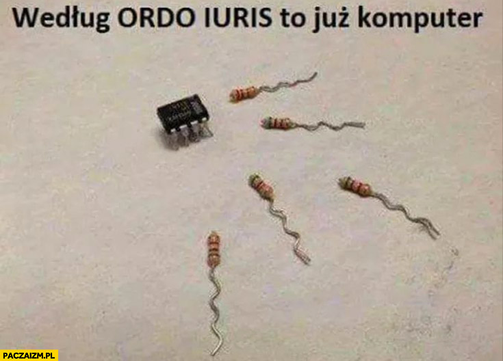 Według ordo iuris to już komputer tranzystory jak plemniki