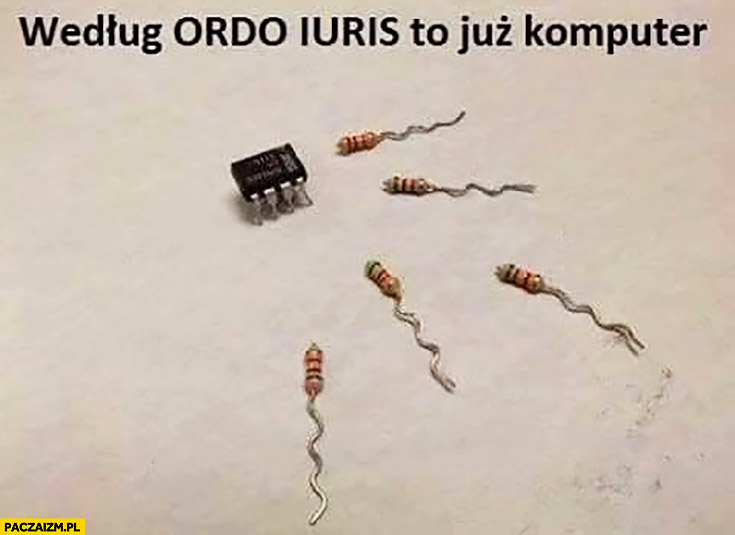 wedlug-ordo-iuris-to-juz-komputer-tranzy