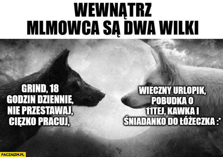 Wewnątrz MLMowca są dwa wilki: grind, 18 godzin dziennie nie przestawaj, ciężko pracuj vs wieczny urlopik, pobudka o 11 kawka i śniadanko do łóżeczka