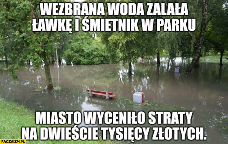 Wezbrana woda zalała ławkę i śmietnik w parku, miasto wyceniło straty na dwieście tysiecy złotych