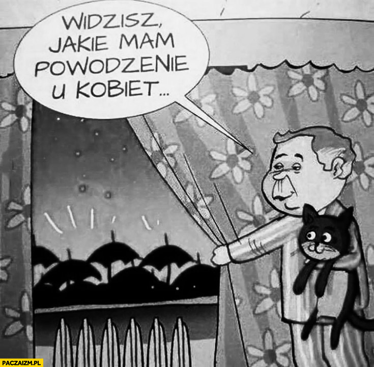 Widzisz jakie mam powodzenie u kobiet Kaczyński z kotem protest pod jego domem