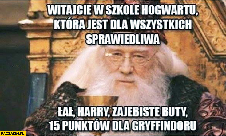Witajcie w szkole Hogwartu która jest dla wszystkich sprawiedliwa Harry super buty 15 punktów dla Gryffindoru