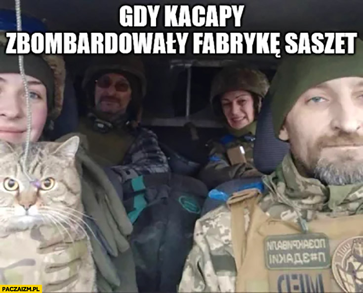 Wkurzony kot żołnierz gdy kacapy zbombardowały fabrykę saszet
