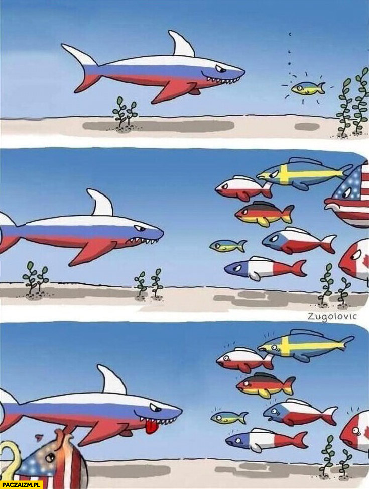 Wojna na Ukrainie ryby USA dołącza do Rosji