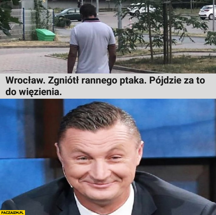 Wrocław zgniótł rannego ptaka, pójdzie za to do więzienia Tomasz Hajto śmieje się
