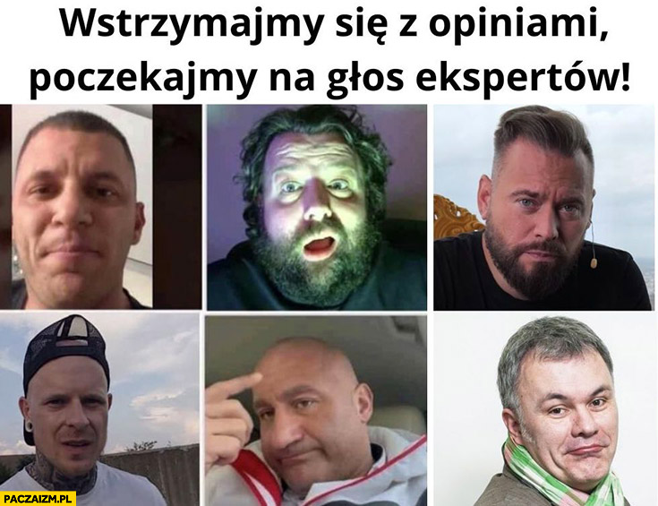 Wstrzymajmy się z opiniami poczekajmy na głos ekspertów Dziki Trener, Ator, Stanowski, Najman, Mazurek, Jakub Czarodziej