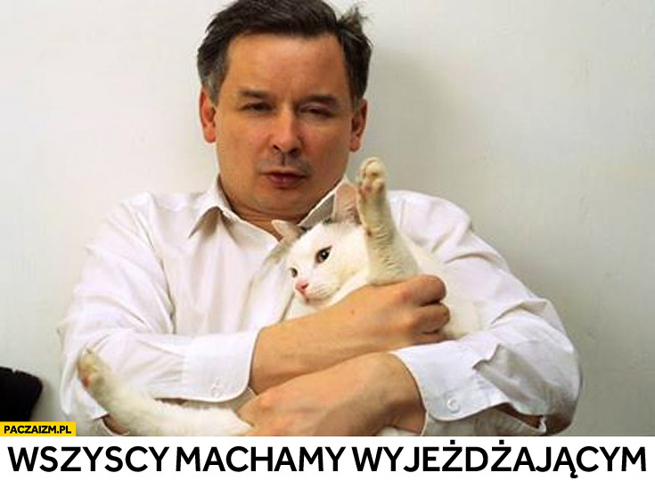 Wszyscy machamy wyjeżdżającym Kaczyński kot