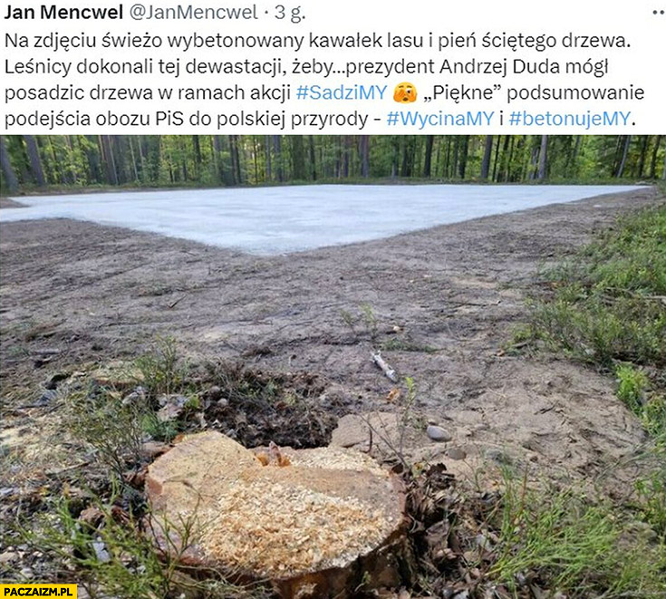 Wybetonowany kawałek lasu leśnicy dokonali dewastacji żeby Andrzej Duda mógł posadzić drzewa w ramach akcji sadzimy