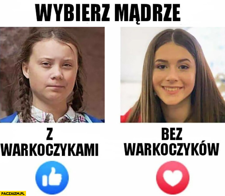 Wybierz mądrze z warkoczykami lub bez Greta Thunberg vs Roksana Węgiel