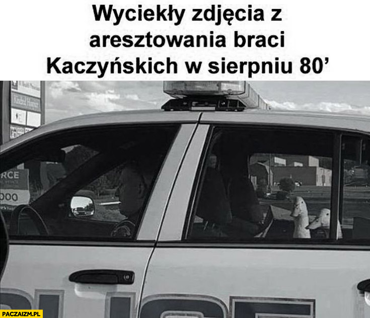 Wyciekły zdjęcia z aresztowania braci Kaczyńskich w sierpniu 1980 gęsi kaczki w radiowozie