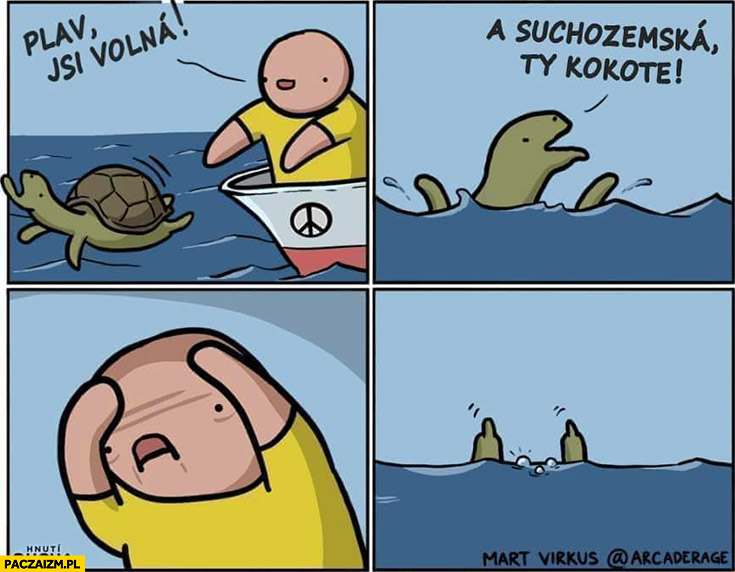 Wyrzuca żółwia do morza wody ja jestem lądowy komiks czeskie słowackie memy