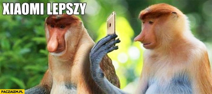 Xiaomi lepsze typowy Polak nosacz małpa z iPhonem