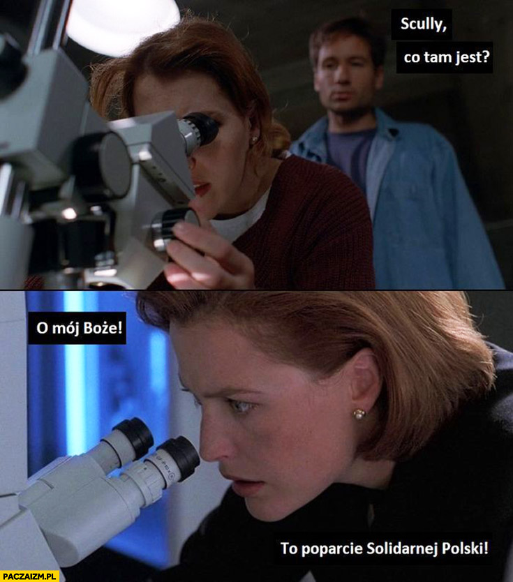 Z archiwum X Scully co tam jest o mój boże to poparcie solidarnej polski pod mikroskopem