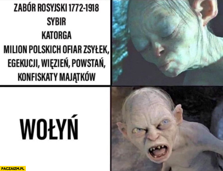 Zabór rosyjski, sybir, katorga, milion polskich ofiar, zsyłek, więzień, powstań vs Wołyń reakcja Gollum
