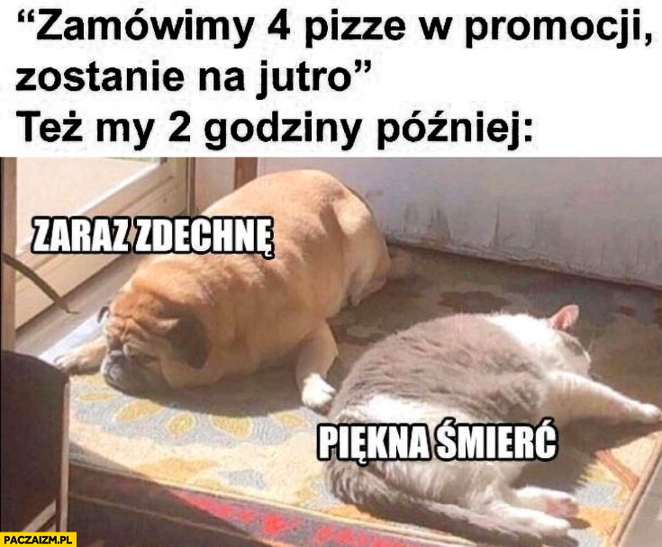 Zamówimy 4 pizze w promocji zostanie na jutro vs też my 2 godziny później gruby pies kot zaraz zdechne piekna smierc