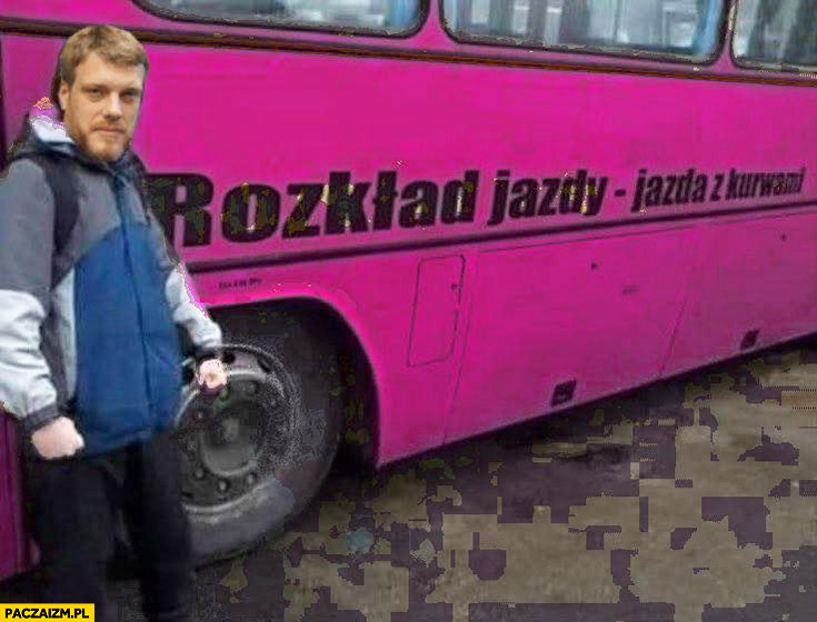 Zandberg rozkład jazdy jazda z kurnami napis na autobusie