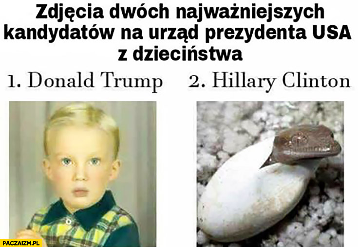 Zdjęcia dwóch kandydatów na urząd prezydenta USA z dzieciństwa Donald Trump Hillary Clinton reptilianka