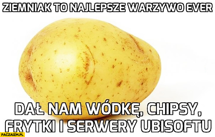 Ziemniak to najlepsze warzywo ever dał nam wódkę, chipsy, frytki i serwery Ubisoftu