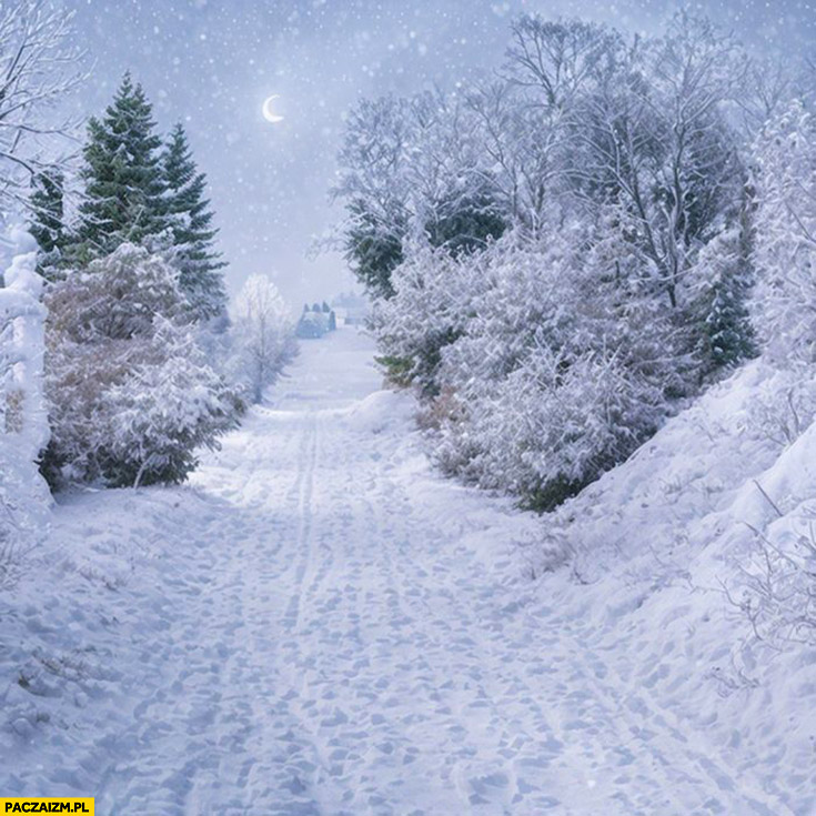 Zimowy pejzaż krajobraz Jan Paweł 2 macha pozdrawia ręką AI art