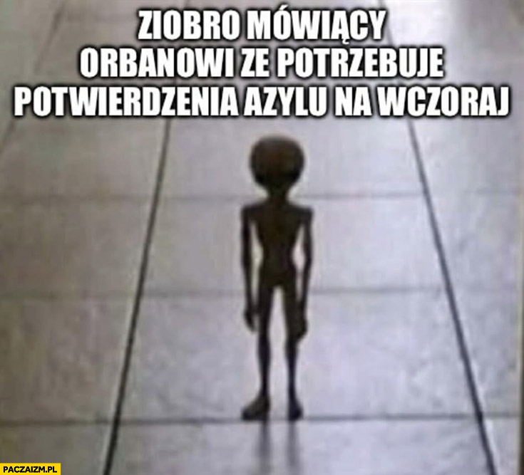 Ziobro mówiący Orbanowi, że potrzebuje potwierdzenia azylu na wczoraj